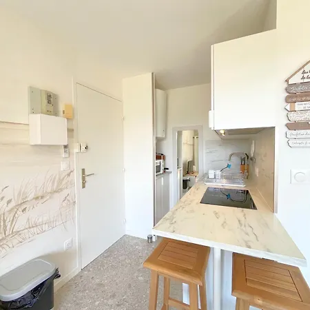 公寓 Refait En 2024 Avec Terrasse, Climatisation Et Parking, A 50m De La - Fr-1-338-588 *