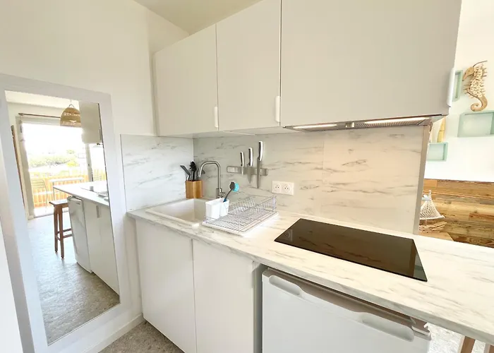 شقة Refait En 2024 Avec Terrasse, Climatisation Et Parking, A 50m De La - Fr-1-338-588 *